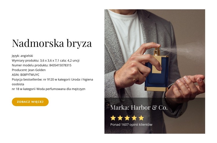 Świeża intensywność morza Szablon HTML