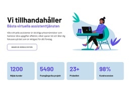 Stöd För Smart Assistent