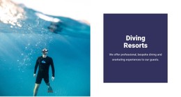 Diving With Sharks Full Width Template