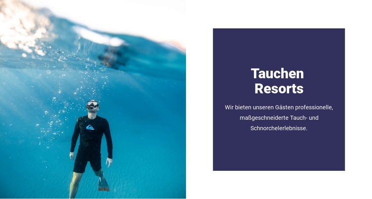 Tauchen mit Haien Website design