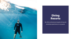 Web Page For Diving With Sharks