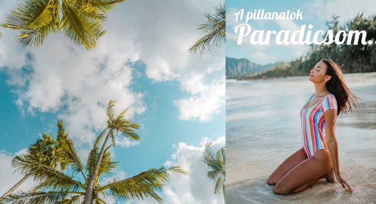 Paradise beach resort Weboldal sablon