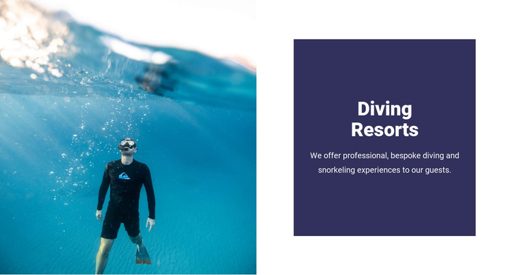 Diving with sharks Web Design