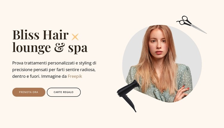 Servizi per capelli e spa Modello CSS