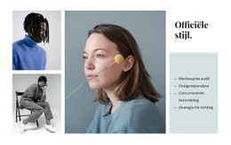 Officiële Stijl Responsieve Site