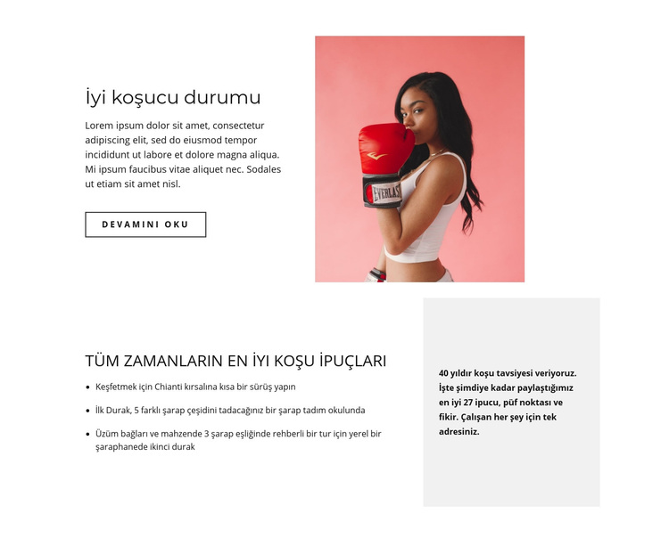 Herkes için spor WordPress Teması