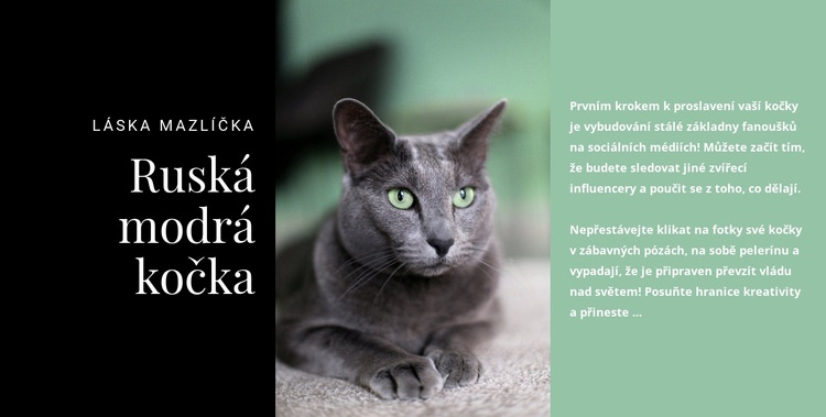 Ruská modrá kočka Téma WordPress