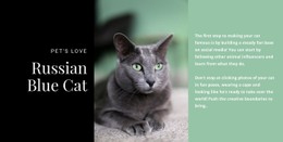 Russian Blue Cat CSS Layout Template