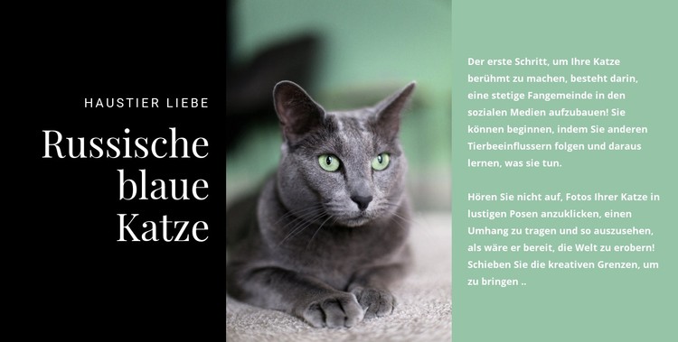 Russische blaue Katze CSS-Vorlage