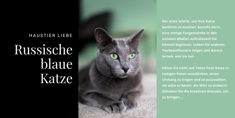 Russische blaue Katze HTML5-Vorlage