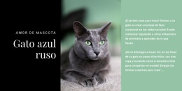 Diseñador De Sitios Web Para Gato Azul Ruso