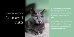 Gato Azul Ruso - Plantilla De Página De Destino