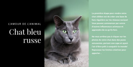 HTML Réactif Pour Chat Bleu Russe