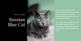 Responsive HTML For Russian Blue Cat