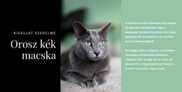 Orosz Kék Macska – Személyes Webhelysablon