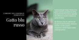 Gatto Blu Russo - Modello Di Pagina Di Destinazione
