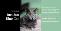 Russian Blue Cat - Free Download Joomla Template