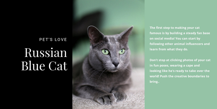 Russian blue cat One Page Template