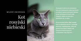 Kot Rosyjski Niebieski - Profesjonalny Motyw WordPress