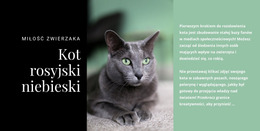 Kot Rosyjski Niebieski - Pobierz Bezpłatnie Szablon Joomla