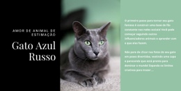 Gato Azul Russo Pet Shop