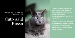 Processo De Design Para Gato Azul Russo