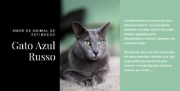 Gato Azul Russo Modelo De Layout CSS