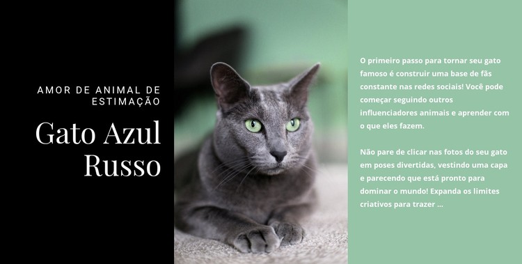 Gato azul russo Template CSS