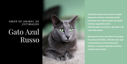 HTML Responsivo Para Gato Azul Russo