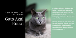 Gato Azul Russo - Modelo Joomla Para Download Gratuito