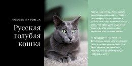 Русская Голубая Кошка — Скачать Шаблон Joomla Бесплатно