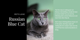 Russian Blue Cat - Personal Website Template