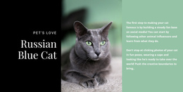 Website Design Russian Blue Cat For Any Device