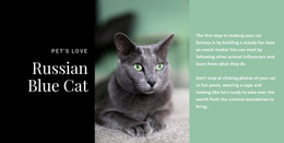 Russian Blue Cat - Landing Page Template
