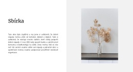 Funkce Rozvržení Motivu Pro Domácí Kolekce