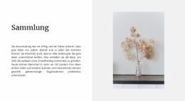 Home-Kollektion - Beste Zielseite