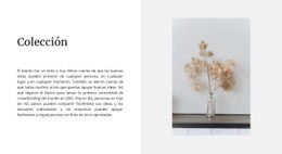 Colección Hogar - Hermoso Diseño De Sitio Web