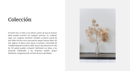 Tema De WordPress Multipropósito Para Colección Hogar