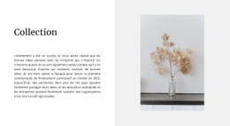 Collecte À Domicile - Conception D'Une Seule Page