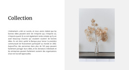 Thème WordPress Polyvalent Pour Collecte À Domicile