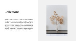 Miglior Sito Web Per Collezione Casa