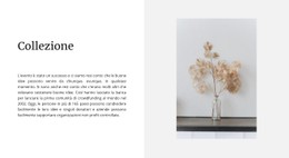 Collezione Casa Modello HTML CSS Reattivo