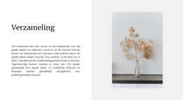 Meest Creatieve WordPress-Thema Voor Thuiscollectie