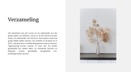 Thuiscollectie - Prachtig Websiteontwerp