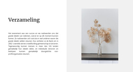 Thema-Indelingsfunctionaliteit Voor Thuiscollectie