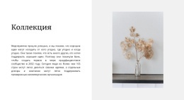 Домашняя Коллекция – Одностраничный Дизайн