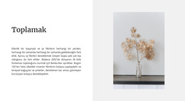 Ev Koleksiyonu - Tamamen Duyarlı Şablon