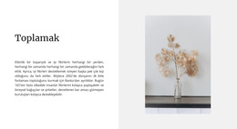 Ev Koleksiyonu Için Tema Düzeni Işlevi