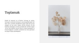 Ev Koleksiyonu - Güzel Web Sitesi Tasarımı