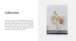 Home Collection - Beautiful Website Design